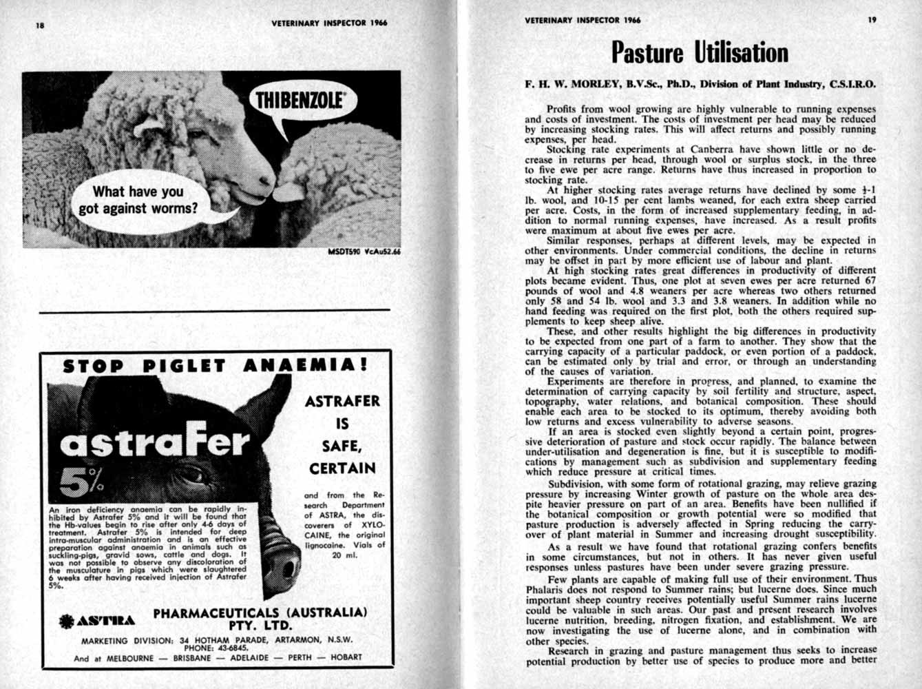 1966 Page 18 19